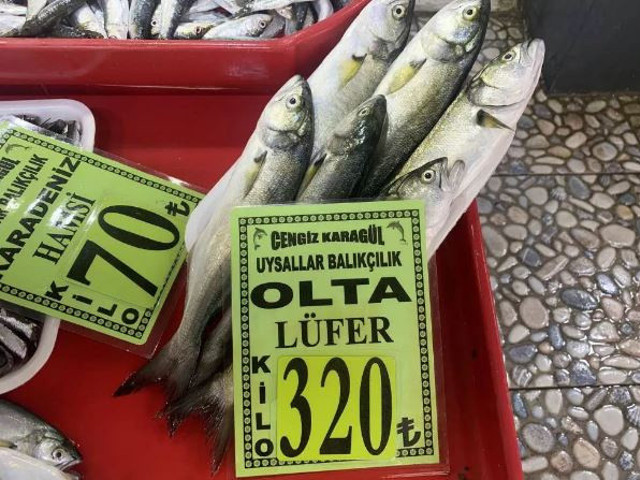 Denizlerin prensi lüfer kilosu 320 liradan satılıyor - Resim: 0