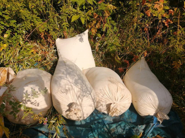 Diyarbakır'da Eren Abluka Sonbahar-Kış operasyonu! İşte ilk günde ele geçirilenler - Resim: 0