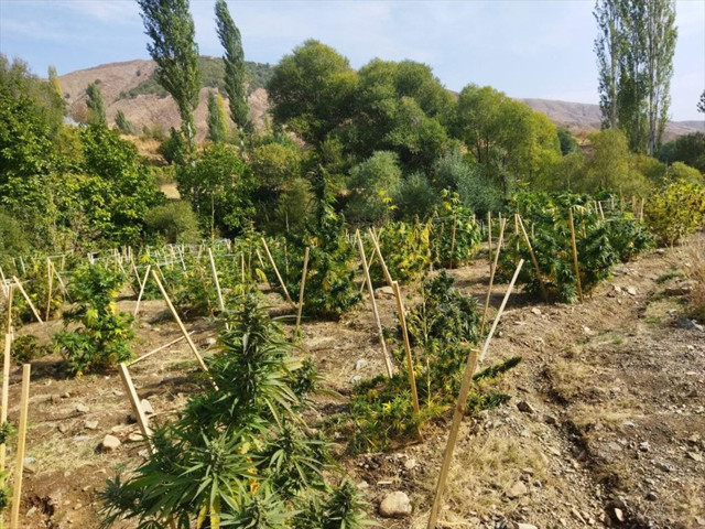 Diyarbakır'da Eren Abluka Sonbahar-Kış operasyonu! İşte ilk günde ele geçirilenler - Resim: 1