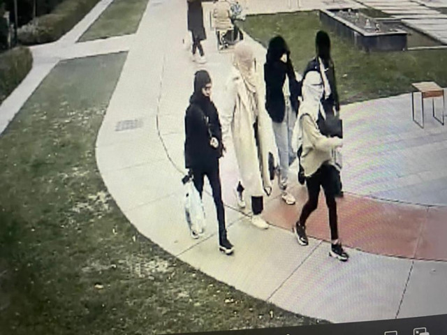 'Turnike' arızasını fırsat bildiler, siteye dadandılar: Kadınlar 80 bin TL’lik vurgun yaptı! - Resim: 2