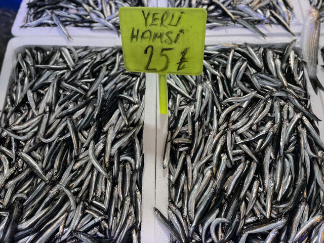 Hamsi için vakit geldi! Hamsi bolluğuyla fiyatlar çok düştü palamut bol işte balık fiyatları - Resim: 0