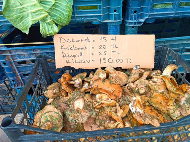 Fiyatı kırmızı eti yakalayınca etikete yazdılar koklamak 20 TL fotoğraf çektirmek 25 TL kilosu 150 TL - Resim: 1