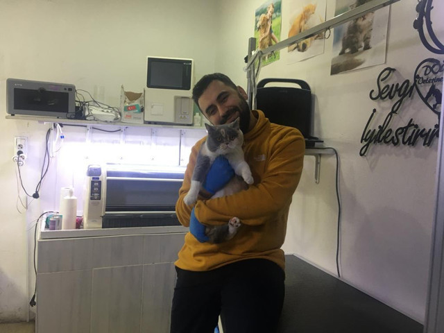 Mikro çip kuyruğu var 31 Aralık 2022'ye kadar çip taktırmayan yandı! Veterinerler bitti diyor - Resim: 4