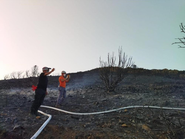 Datça'da yürekler ağza geldi! Yerleşim yerleri tehdit eden yangın saatler sonra kontrol altına alındı - Resim: 5