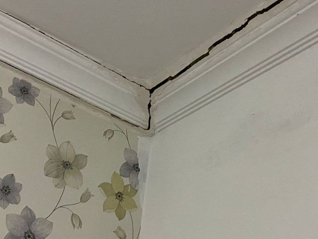 Antalya'da kabus evi! 3 yıl önce büyük umutlarla satın almıştı: Gelenler çay, kahve içip kaçıyorlar - Resim: 1