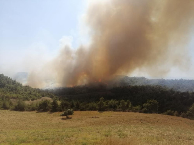 Antalya, Muğla'da ve Adana'da ormanlar yanıyor! Mahalle boşaltıldı araç giriş çıkışı yasaklandı - Resim: 4
