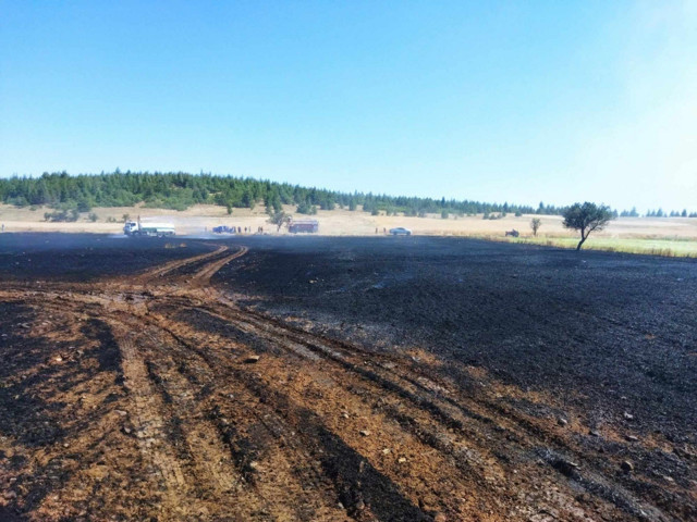 Burdur'da çay keyfi yapmak isterken tarım arazisini küle çevirdi - Resim: 1