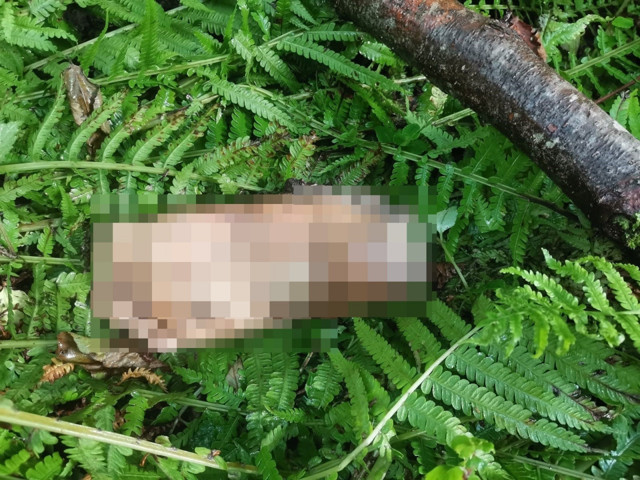 Belediyeden yapılan anonsu duyanlar kulaklarına inanamadı: Ayak parçası bulundu - Resim: 0