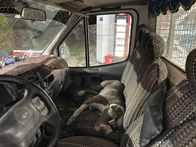 Kamyon şoförü dehşete düştü aracına binemedi geceyi dışarıda geçirdi - Resim: 1
