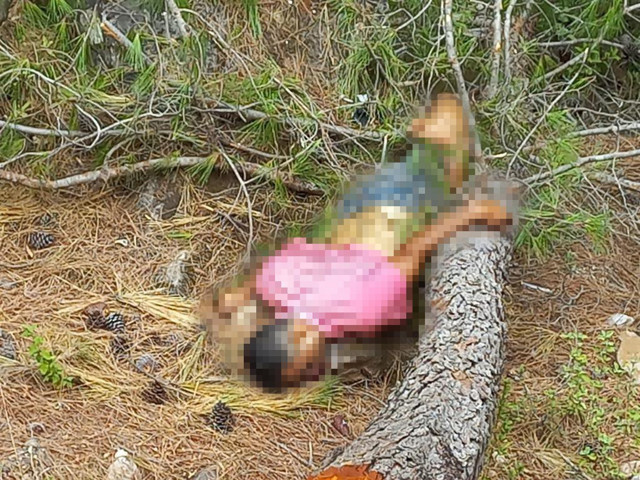 Motosiklet kazasında hayatını kaybeden 2 kişinin cesedi ertesi gün bulundu - Resim: 0