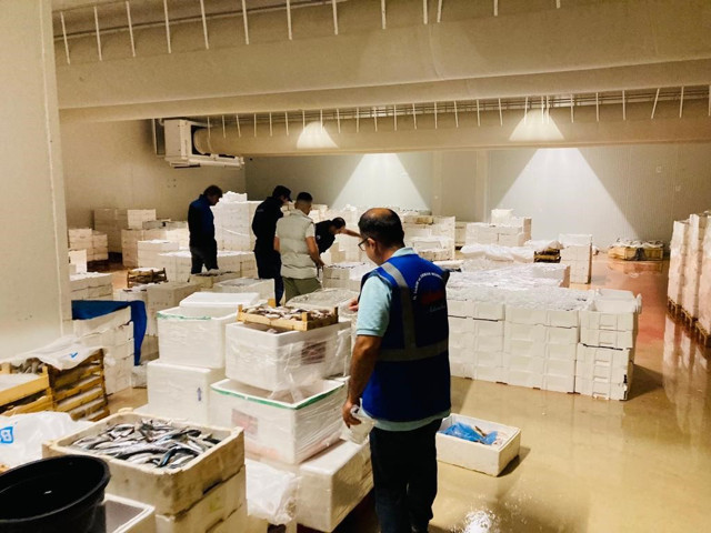 İstanbul'da 3 ton istavrit balığına el konuldu, 6 kişiye ceza yağdı - Resim: 0