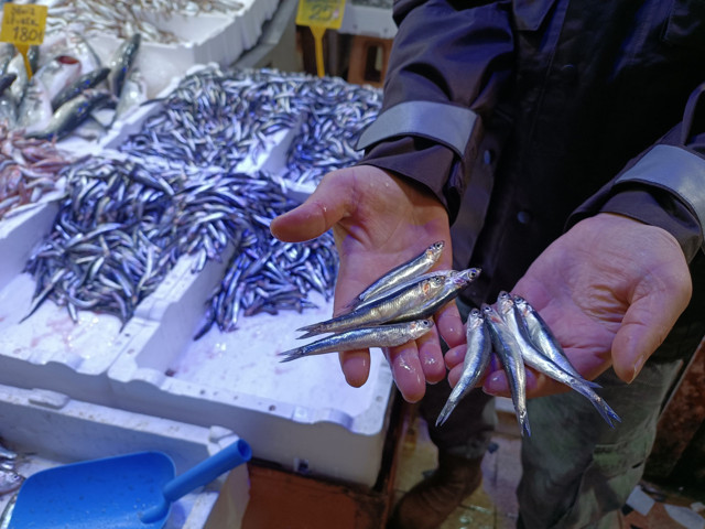 Bu sezon bir ilk! Vatandaş fırsatı kaçırmadı, hamsi kapış kapış gitti - Resim: 0