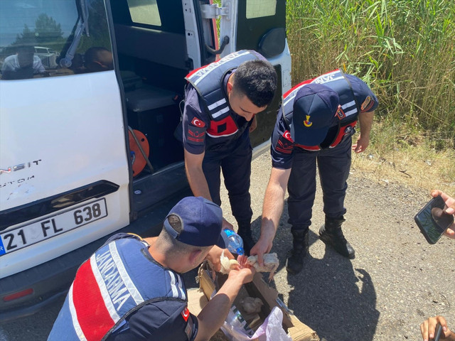 Diyarbakır'da tarım işçilerini taşıyan kamyonet devrildi: Yaralılar var - Resim: 1