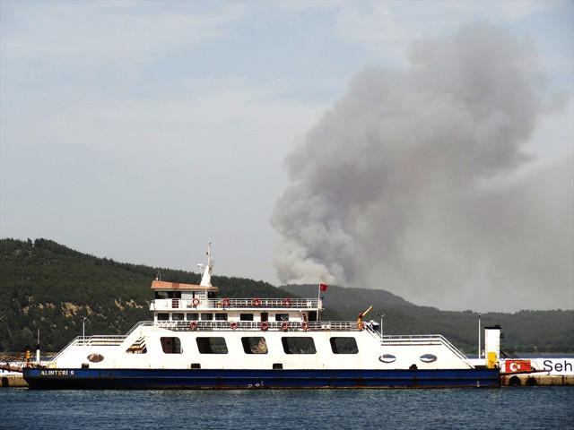 Çanakkale'de orman yangını çıktı! - Resim: 0
