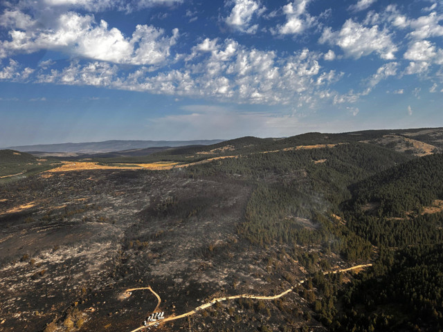 Kızılcahamam'da başlayıp Gerede'ye sıçrayan yangın kontrol altına alındı - Resim: 1