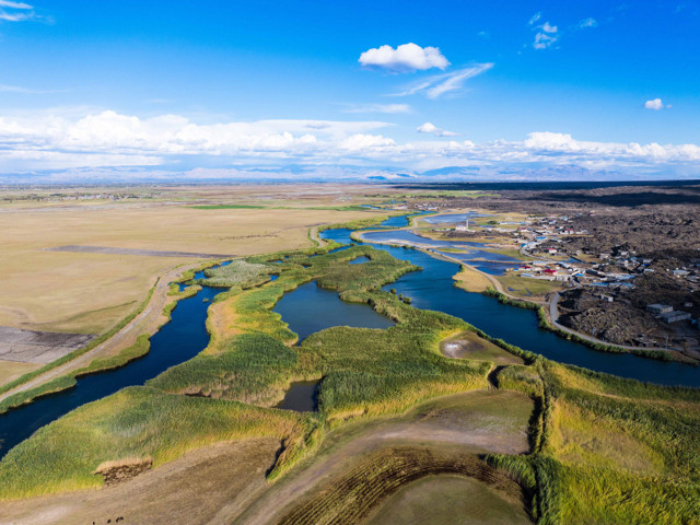Iğdır'da yapılan gözlemlerde bugüne kadar 348 kuş türü tespit edildi - Resim: 2