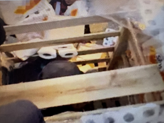 Düzensiz göçmenleri "kağıt havlular" arasında saklayan suç örgütüne hapis cezası istemi - Resim: 0