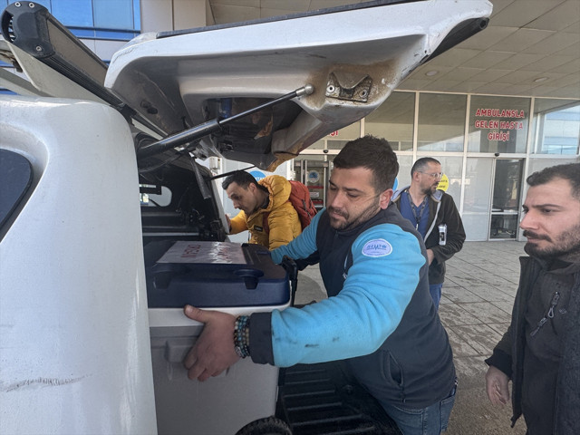 Samsun'da 2 çocuk annesinin beyin ölümü gerçekleşti: Organları 3 kişiye umut oldu - Resim: 0