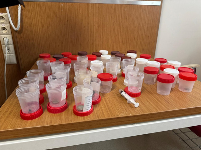 Minik İkra evde oyun oynarken rahatsızlandı, sebebi hastanede ortaya çıktı - Resim: 0