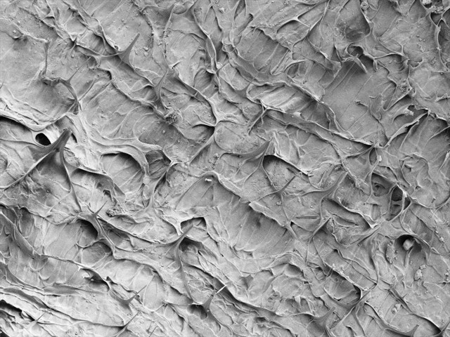 Küllüoba'da bulunmuştu! 5 bin yıllık ekmek ile ilgili ilginç detay - Resim: 2