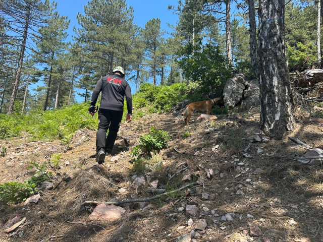 Bursa'da 133 kişilik ekip kayıp Burak'ı arıyor - Resim: 2