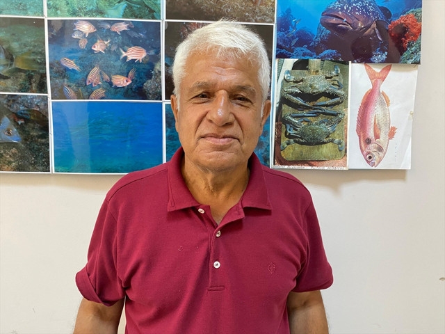 Antalya'da ilk kez "mandagöz" balığı görüldü: Zehirli mi? - Resim: 1