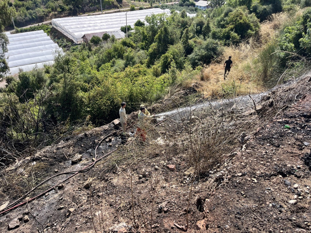 7 İlde orman yangını başladı! Alevler büyüyor, dumanlar yükseliyor - Resim: 0