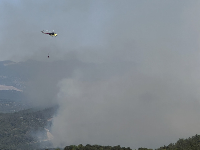 Orman yangını çıktı! İki mahalle tahliye edildi - Resim: 1