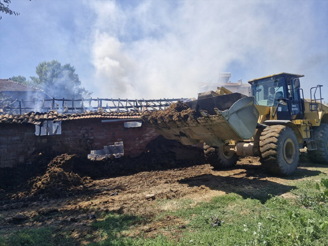 Tokat'ta feci olay! 7 büyükbaş hayvan yangında telef oldu... - Resim: 0