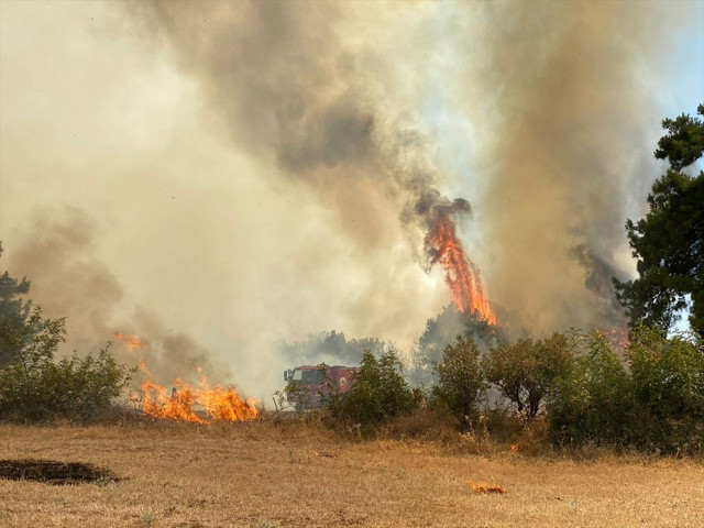 Çanakkale'deki orman yangını kontrol altında - Resim: 0
