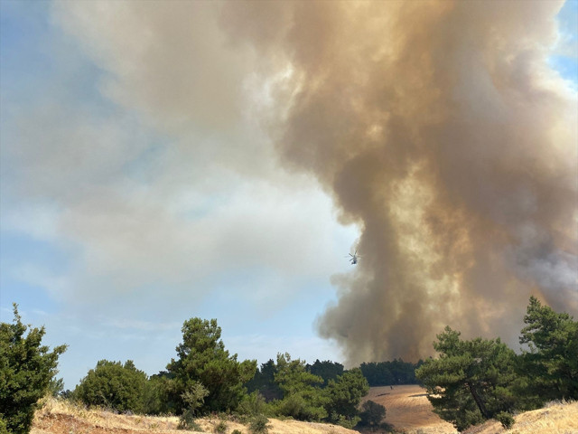 Çanakkale'deki orman yangını kontrol altında - Resim: 1
