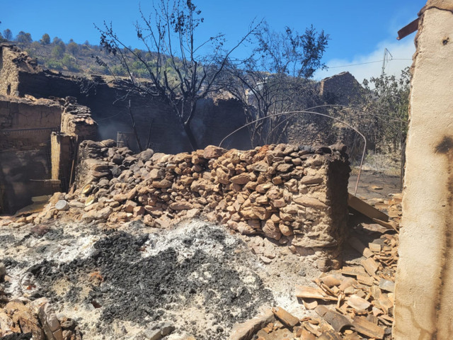 Bakan Kurum, orman yangınlarıyla ilgili hasar tespit verilerini paylaştı - Resim: 0
