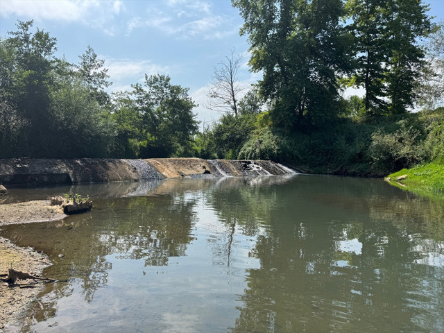 Bartın'da toplu balık ölümlerine ilişkin inceleme başlatıldı - Resim: 0