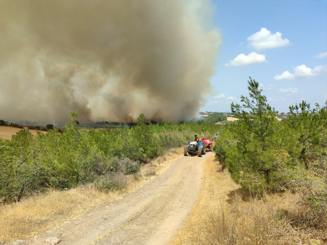 Çanakkale merkez ve Bayramiç'teki orman yangınları tamamen kontrol altına alındı - Resim: 1