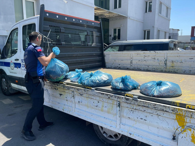 Hepsi kuru yemişçide bulundu! Mide bulandırdı - Resim: 0