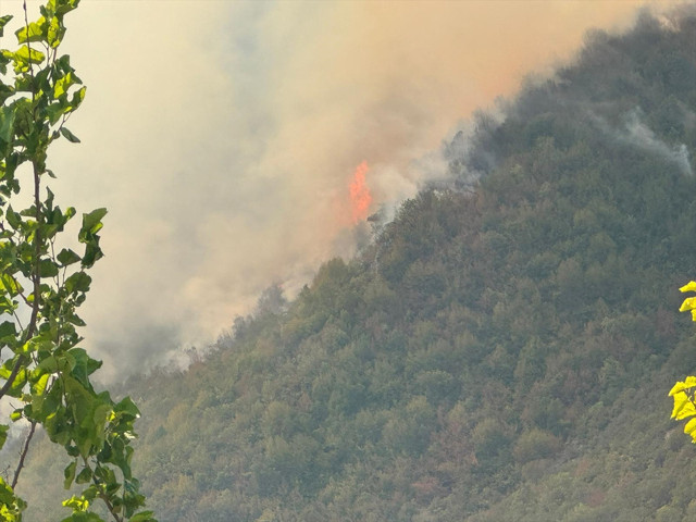 Bartın'da ormanlık alanda yangın! Validen açıklama - Resim: 2