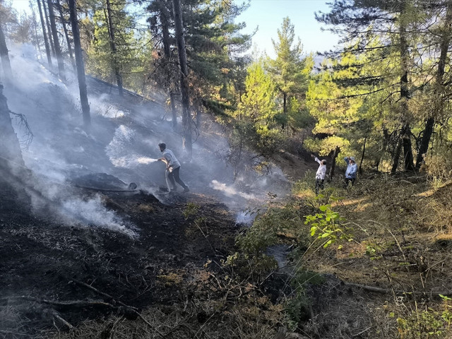 Orman yangınlarıyla mücadele eden gönüllülerin hakları yeniden düzenlendi - Resim: 0