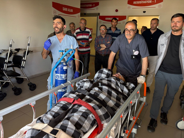 Sivas'ta çobana ayı saldırdı - Resim: 0