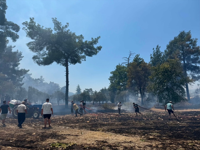 Antalya'nın Kaş ilçesinde ormanlık alanda yangın çıktı - Resim: 2