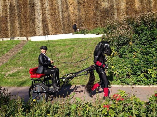 Günün en çılgın 60 fotoğrafı! - Resim: 3