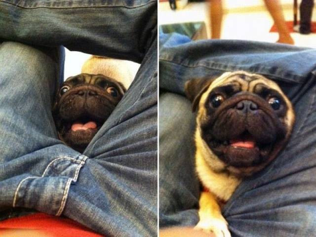 Tekrar tekrar bakacağınız fotoğraflar - Resim: 2