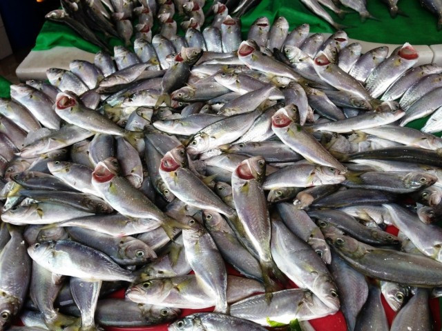 Hangi ayda hangi balık yenir? - Resim: 1