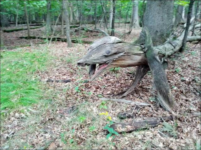 Günün en ilginç 50 fotoğrafı - Resim: 2