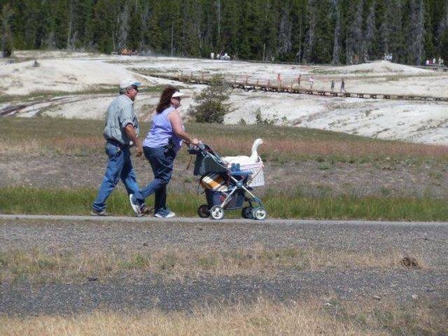 Bir de büyümüş hallerini görün! - Resim: 3
