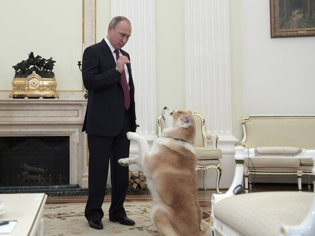 Putin gazetecileri köpekle korkuttu! - Resim: 4