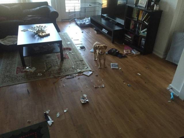 Günün en ilginç 50 fotoğrafı - Resim: 4