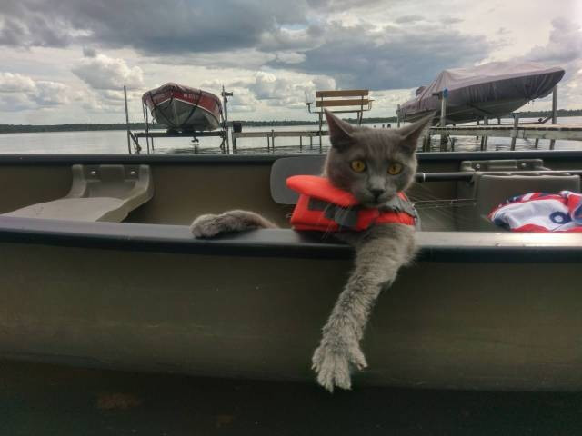 Cumartesi gününe neşe katacak fotoğraflar - Resim: 3
