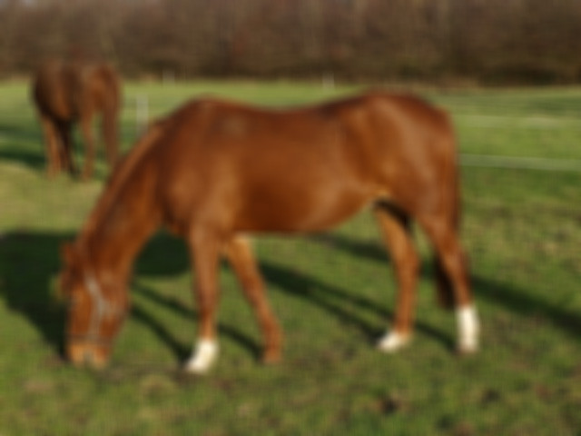 Ata tecavüz ederken yakalandı para cezasıyla kurtuldu - Resim: 3