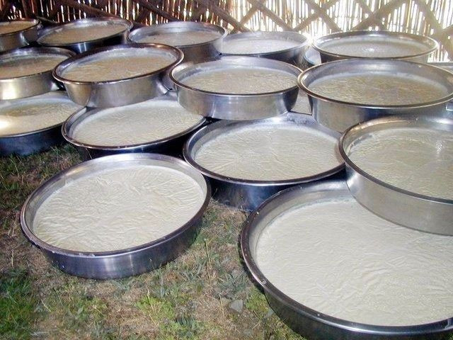 Bu gıdalar 420 bin kişiyi öldürdü aman dikkat! - Resim: 3