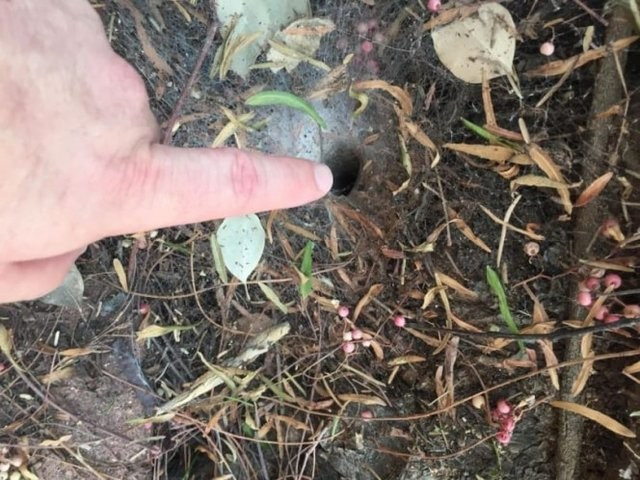 Fazla merak her zaman iyi değil! O deliğe parmağını soktu ve... - Resim: 3